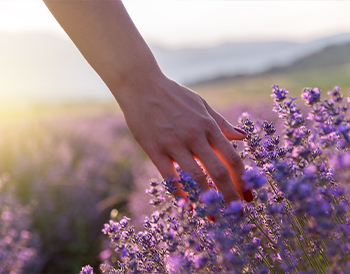 iStock-1005995502